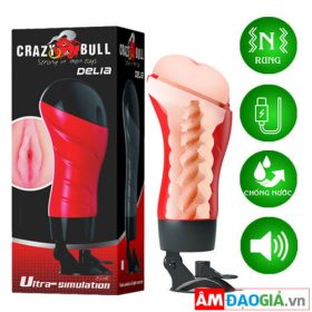 Âm Đạo Giả Crazy Bull Delia 01
