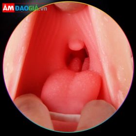 Âm Đạo Giả 2 Đầu Silicon JIUAI Oral 03