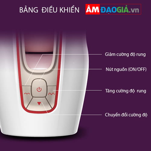 Hướng dẫn sử dụng Vagino Leten