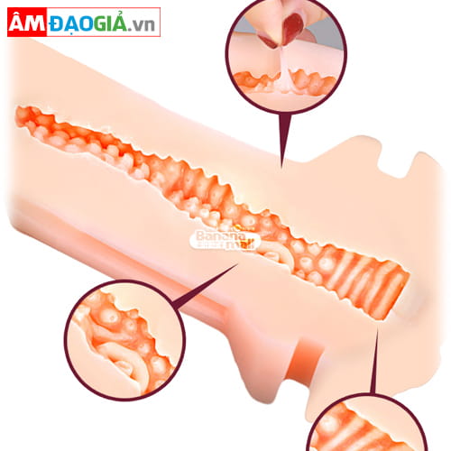 Ưu điểm của sản phẩm Wyten