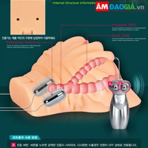 Mông Giả Silicon JP – Vòng 3 Lý Tưởng Và Siêu Đẹp 02